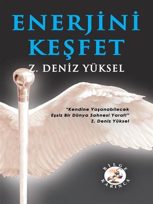 cover image of Enerjini Keşfet